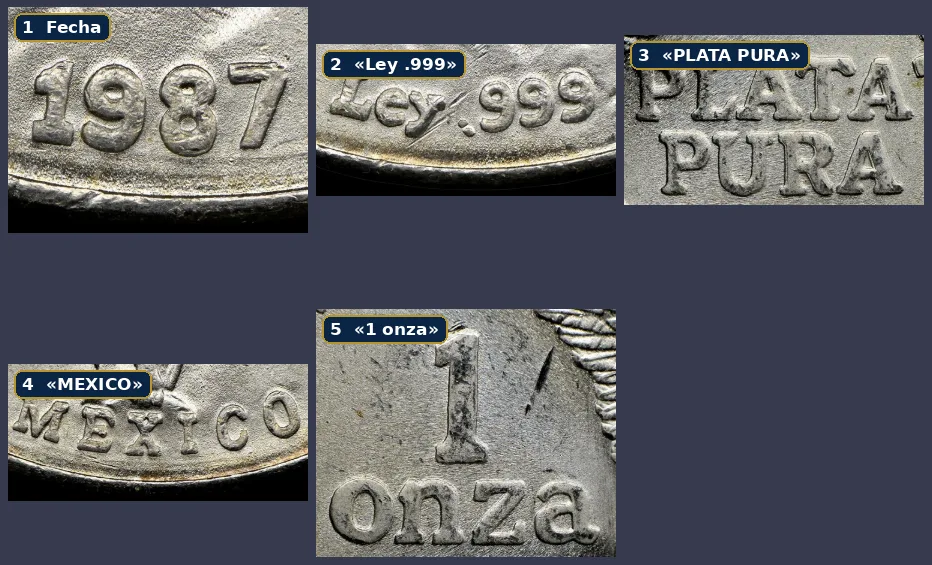NGC diagnostic photos of the 1987 Libertad DDR: date, Ley .999, PLATA PURA, MEXICO and 1 onza