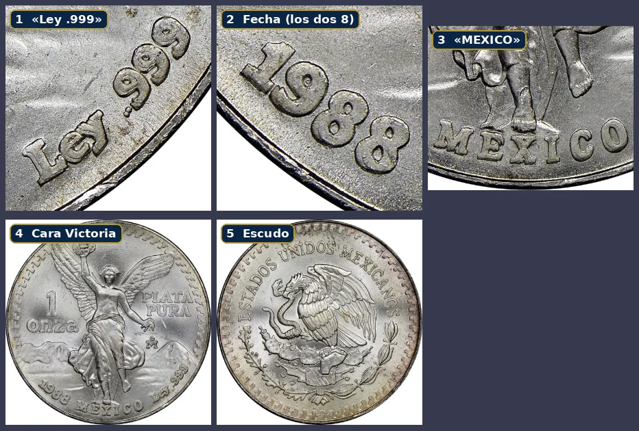 NGC diagnostic photos of the 1988 Libertad DDR-001: Ley .999, date and MEXICO