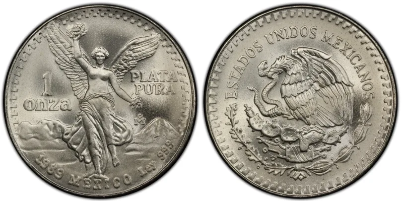 1989 Libertad without dot graded MS69 by PCGS